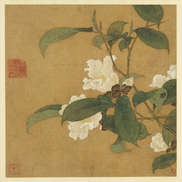 歷代畫幅集冊　冊　無款花鳥草蟲