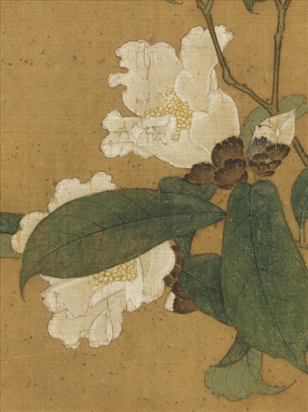 歷代畫幅集冊　冊　無款花鳥草蟲