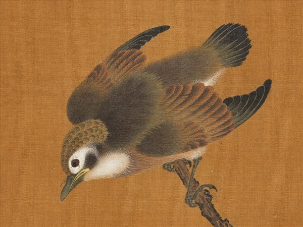 歷代名繪　冊　宋趙令松花鳥