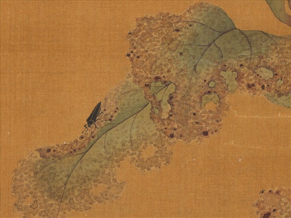 歷代名繪　冊　宋趙令松花鳥