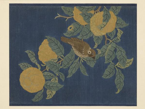 鏤繪集錦　冊　山果寒禽