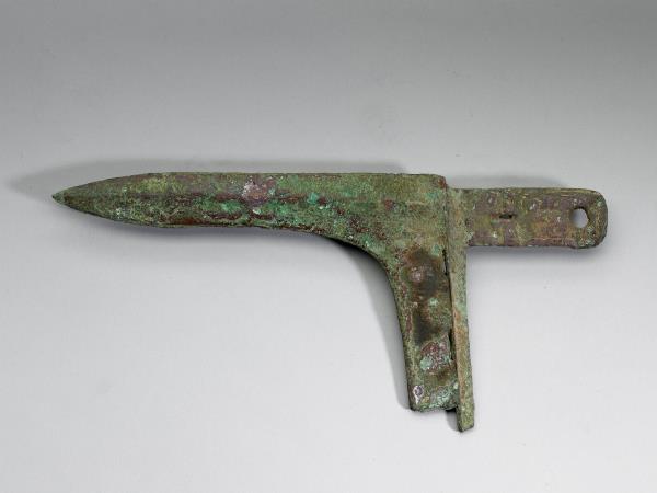 蔡公子從之用戈