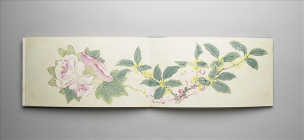畫花卉 冊