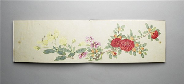 畫花卉 冊