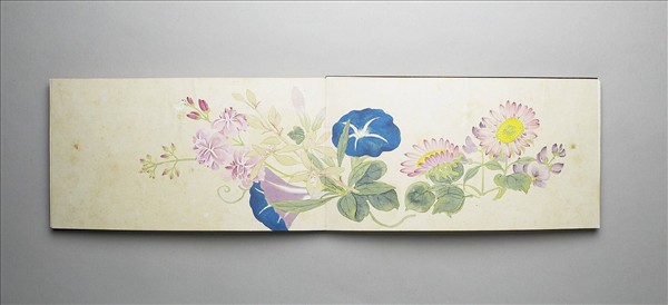 畫花卉 冊