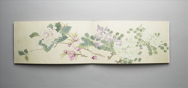 畫花卉 冊