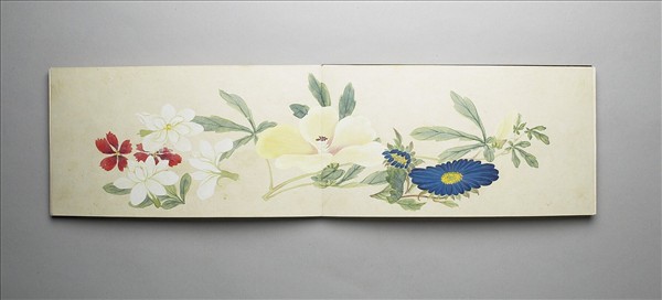 畫花卉 冊