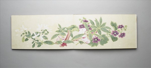 畫花卉 冊