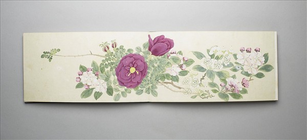畫花卉 冊