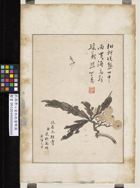 民國溥心畬枇杷蜜蜂圖