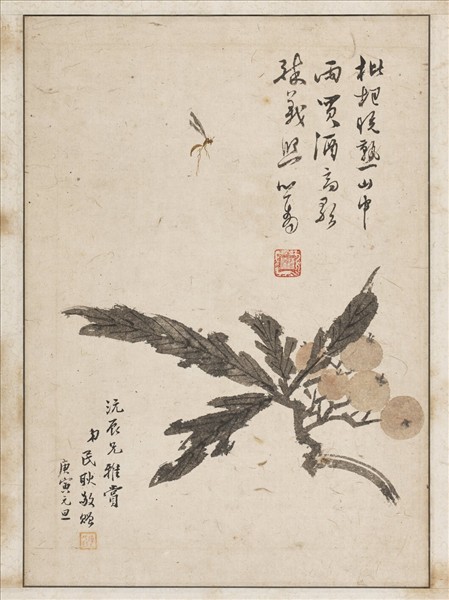 民國溥心畬枇杷蜜蜂圖