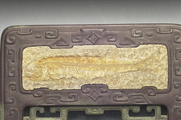 松花石嵌魚化石龍紋硯盒