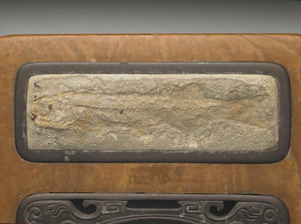 松花石鑲魚化石嵌玻璃硯盒