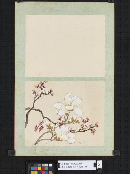 清沈振麟繪十二月花神　冊　杏花辛夷