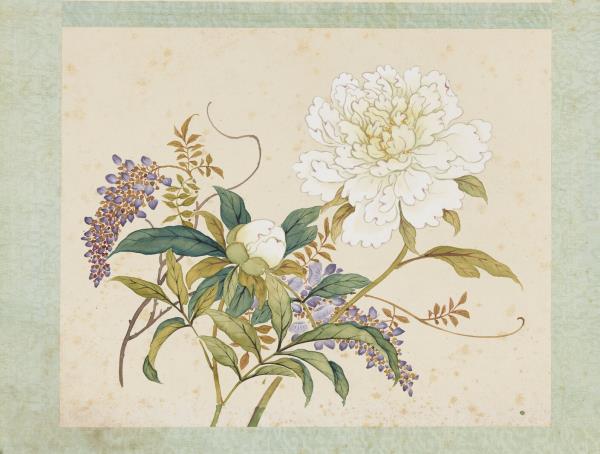 清沈振麟繪十二月花神　冊　芍藥紫藤