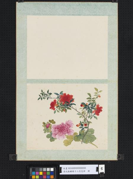 清沈振麟繪十二月花神　冊　蜀葵石榴