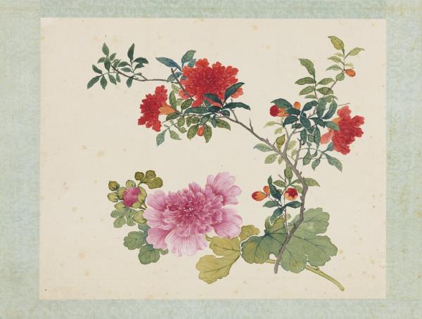 清沈振麟繪十二月花神　冊　蜀葵石榴