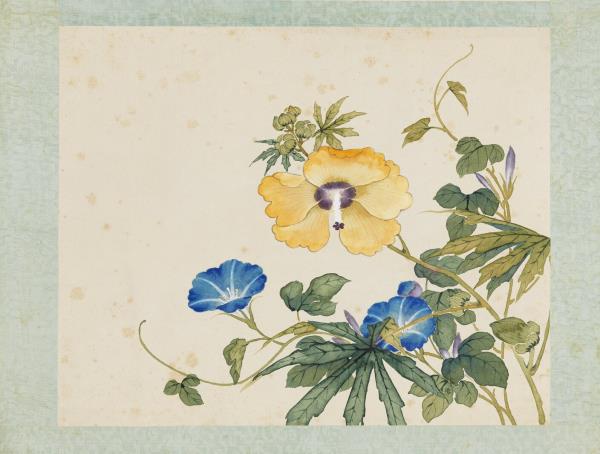 清沈振麟繪十二月花神　冊　秋葵牽牛花