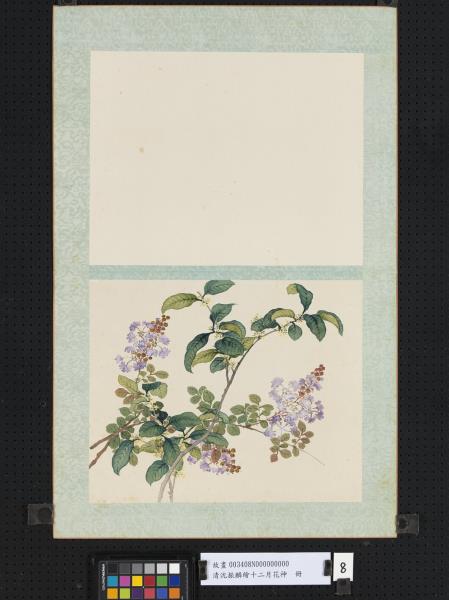 清沈振麟繪十二月花神　冊　桂花紫薇