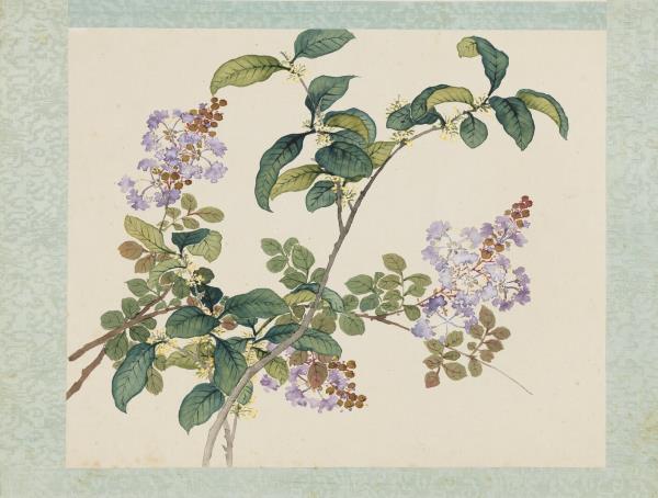 清沈振麟繪十二月花神　冊　桂花紫薇