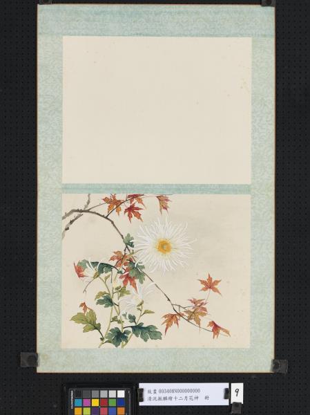 清沈振麟繪十二月花神　冊　菊花楓樹