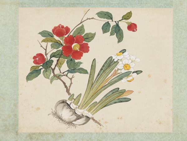 清沈振麟繪十二月花神　冊　水仙茶花