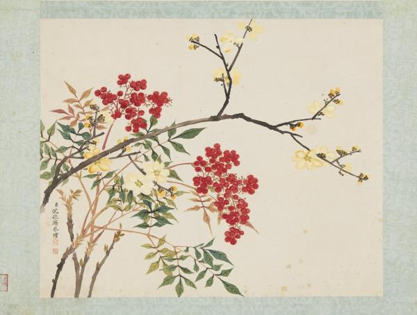 清沈振麟繪十二月花神　冊　臘梅南天竺