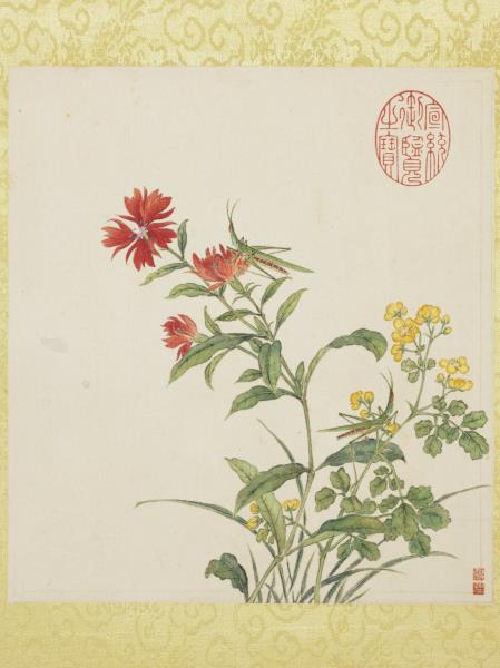 清蔣廷錫張照書畫合璧　冊　秋蘿蝗蟲