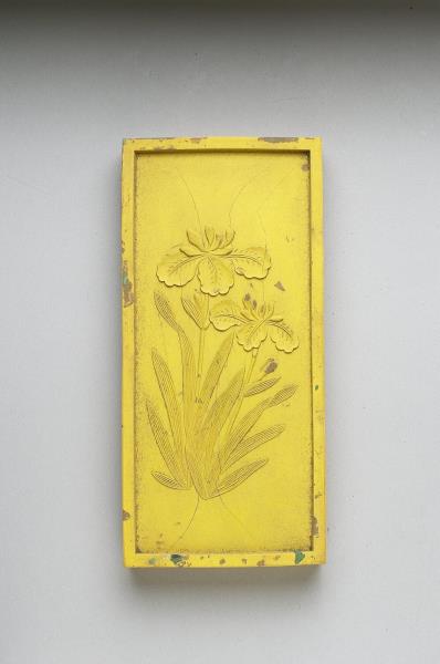 御詠花卉詩「蝴蝶花」黃墨