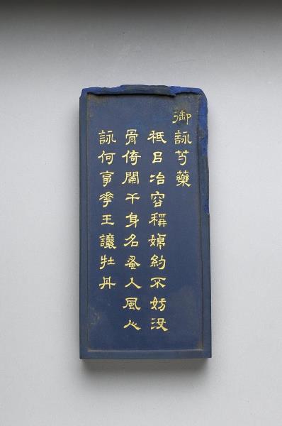 御詠花卉詩「芍藥」藍墨