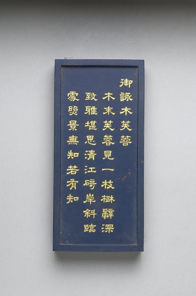 御詠花卉「木芙蓉」詩藍墨