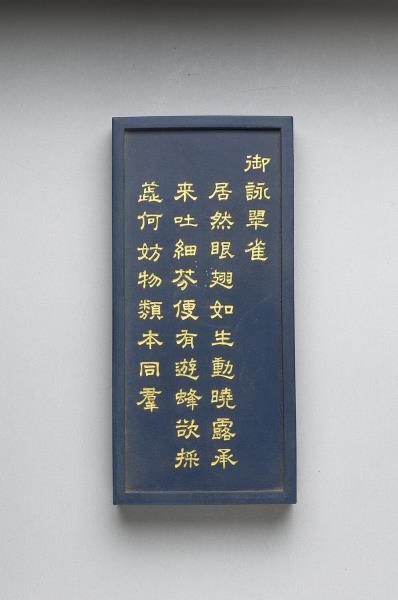 御詠花卉「翠雀」詩藍墨