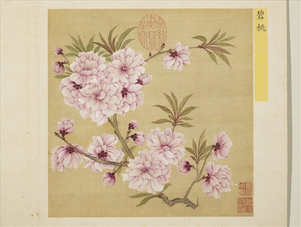 清馬元馭花卉　冊　碧桃