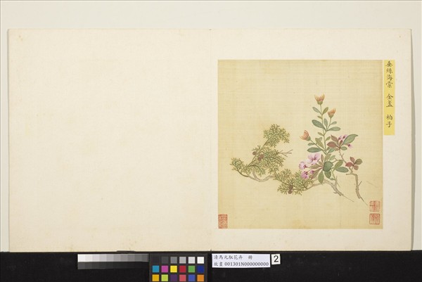 清馬元馭花卉　冊　海棠金盞柏子