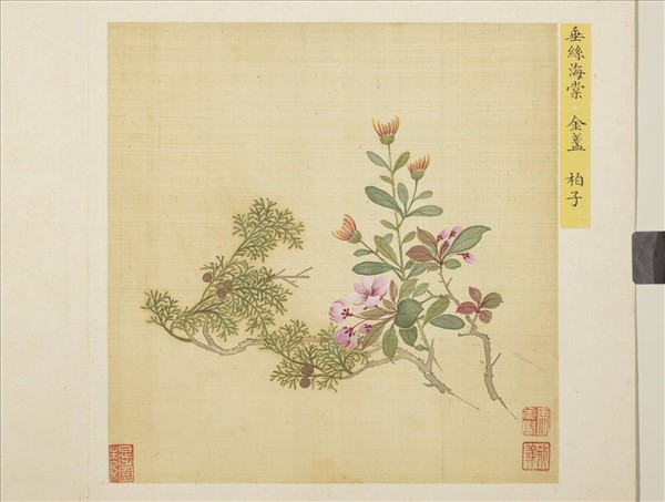 清馬元馭花卉　冊　海棠金盞柏子