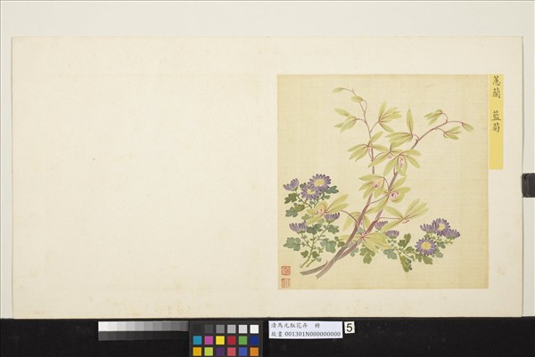 清馬元馭花卉　冊　蕙蘭藍菊