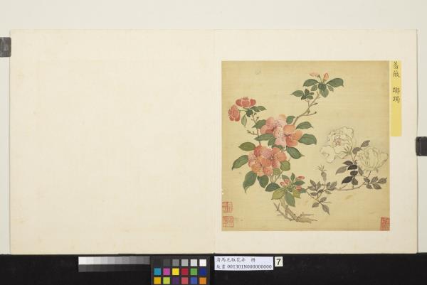 清馬元馭花卉　冊　薔薇躑躅