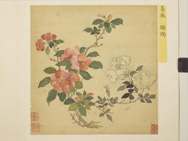 清馬元馭花卉　冊　薔薇躑躅