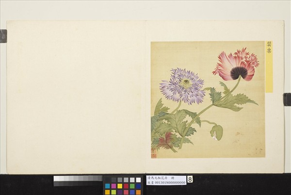 清馬元馭花卉　冊　罌粟