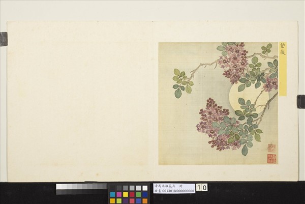 清馬元馭花卉　冊　紫薇