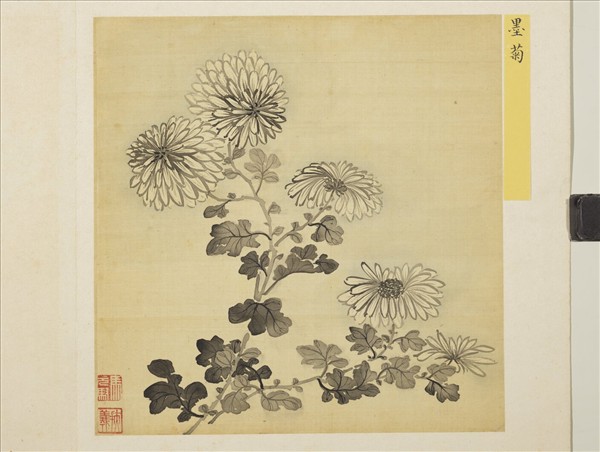 清馬元馭花卉　冊　墨菊