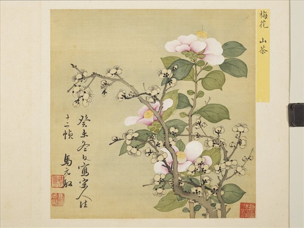 清馬元馭花卉　冊　梅花山茶