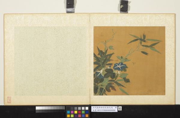 五代後蜀黃筌長春花鳥　冊　牽牛花