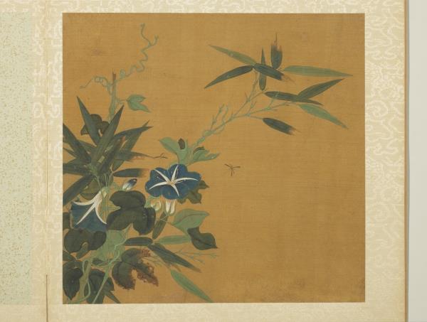 五代後蜀黃筌長春花鳥　冊　牽牛花