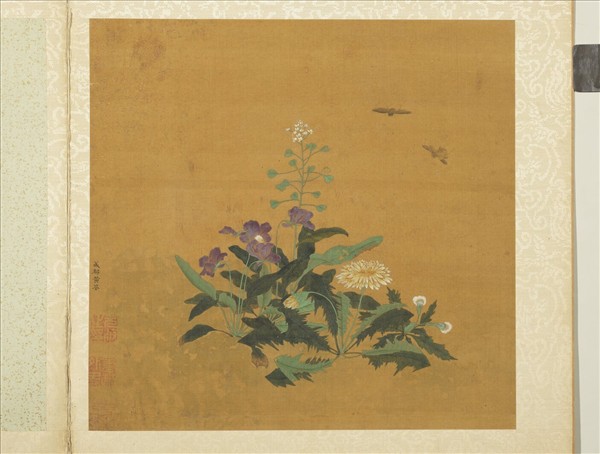 五代後蜀黃筌長春花鳥　冊　薺菜蒲公英