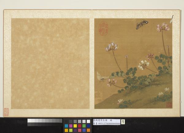 宋錢選寫生圖　冊　花草蝶蛾