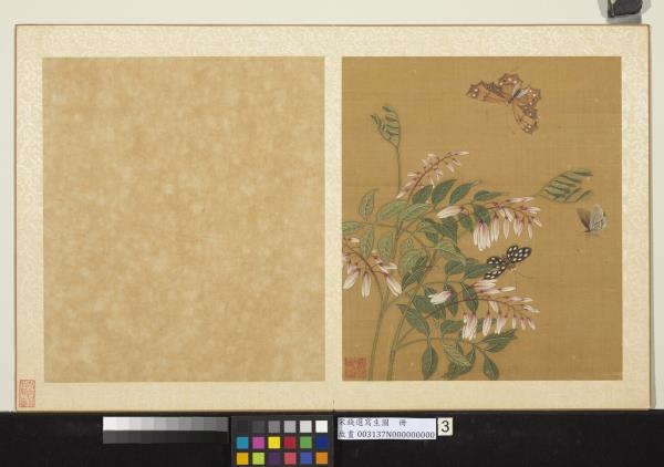 宋錢選寫生圖　冊　花草蝶蛾