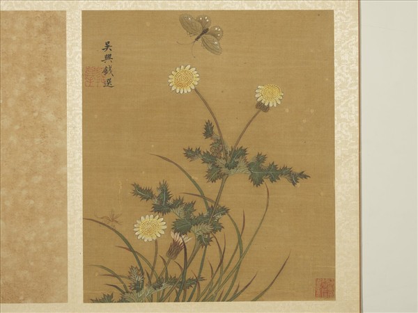 宋錢選寫生圖　冊　菊花蝴蝶