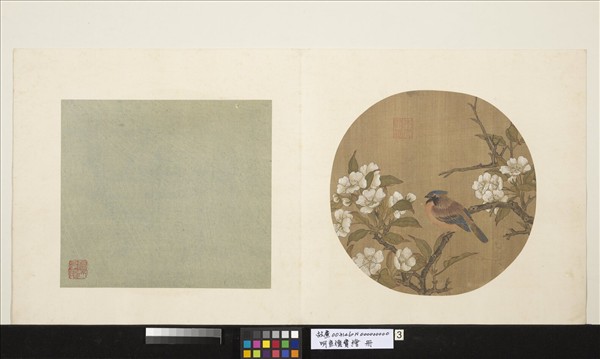 明宣德寶繪　冊　梨花小鳥