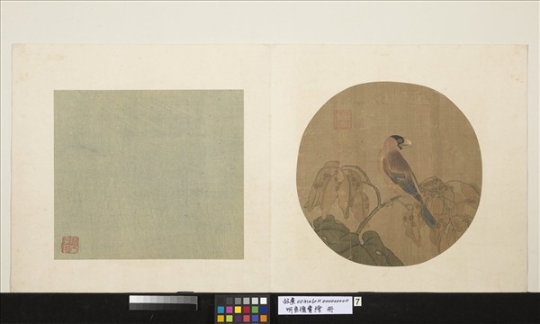 明宣德寶繪　冊　桐實文鳥